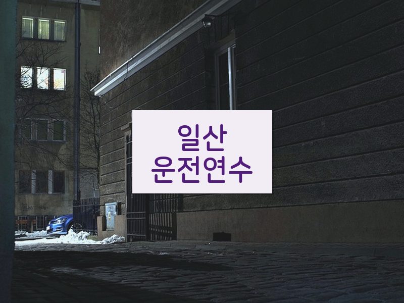 일산운전연수 후기
