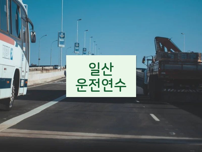 일산운전연수 후기