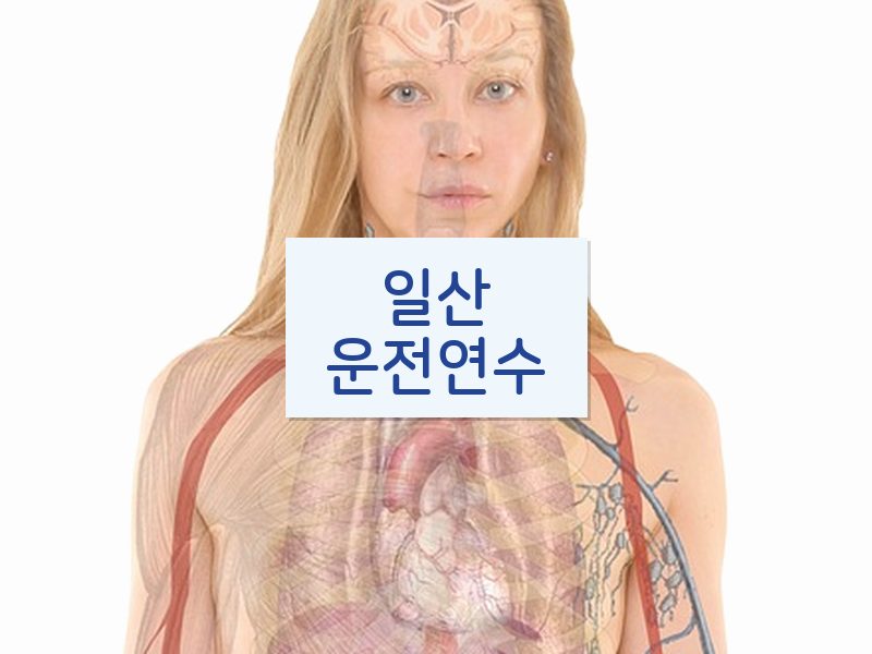 일산운전연수 후기