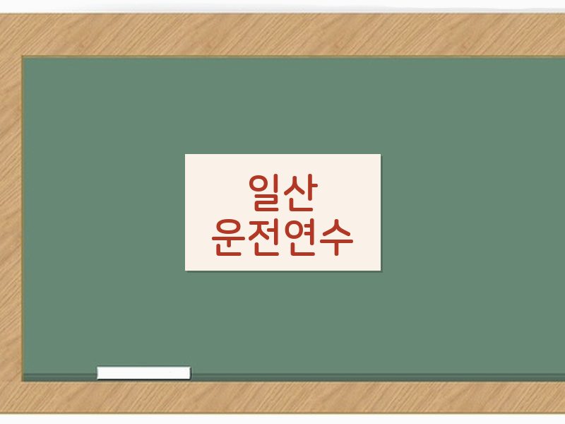 일산운전연수 후기