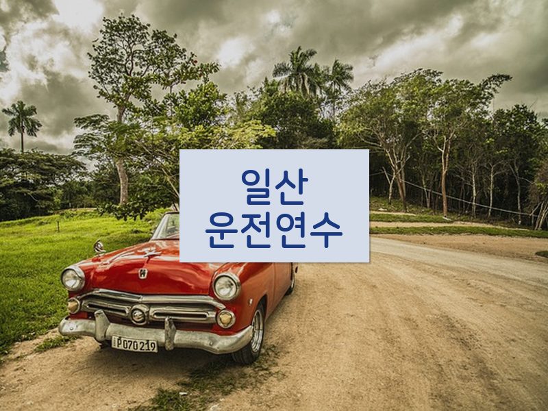 일산운전연수 후기