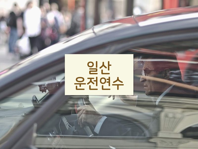 일산운전연수 후기