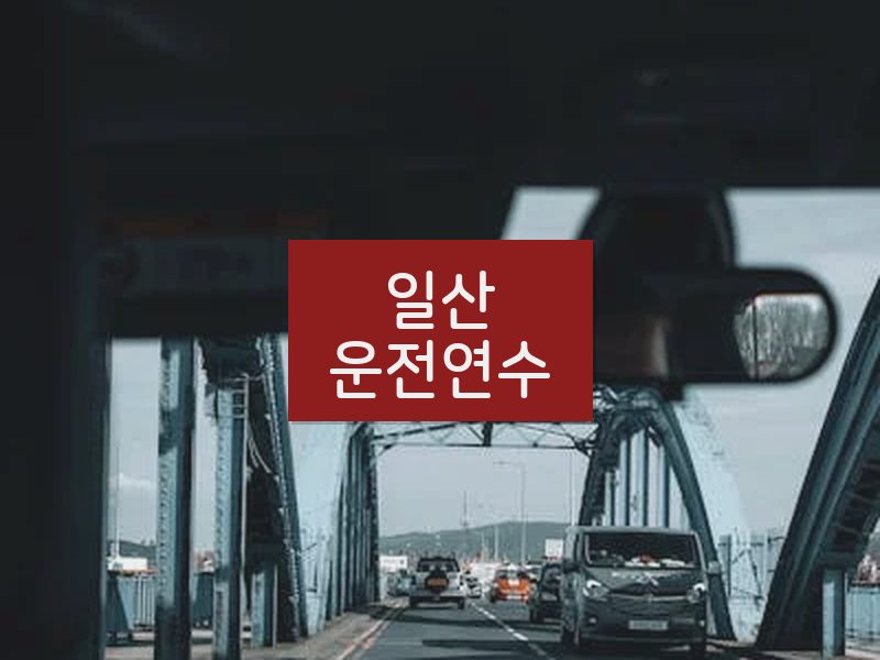 일산운전연수 후기