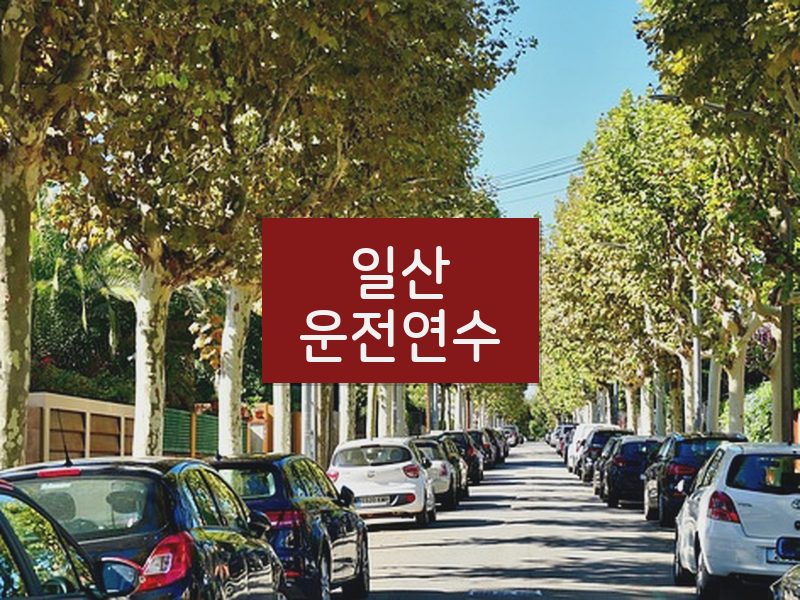 일산운전연수 후기