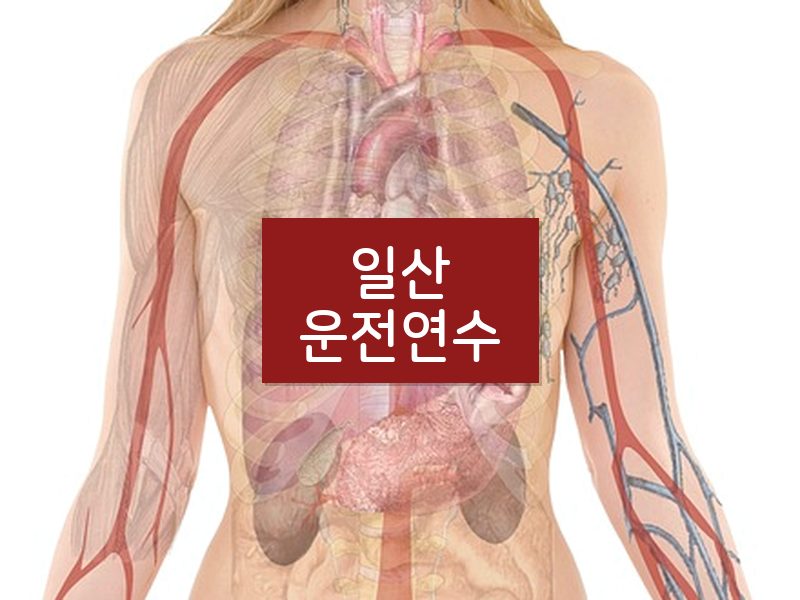 일산운전연수 후기