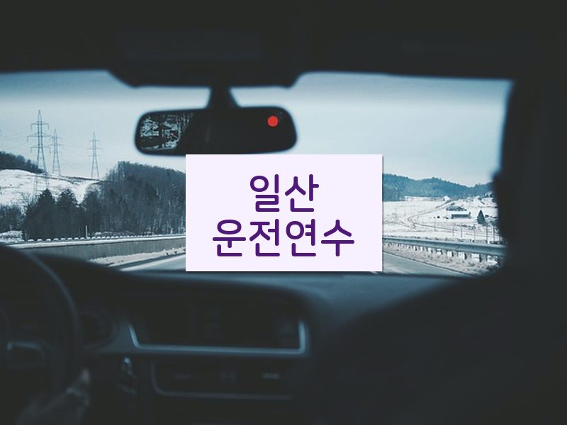 일산운전연수 후기