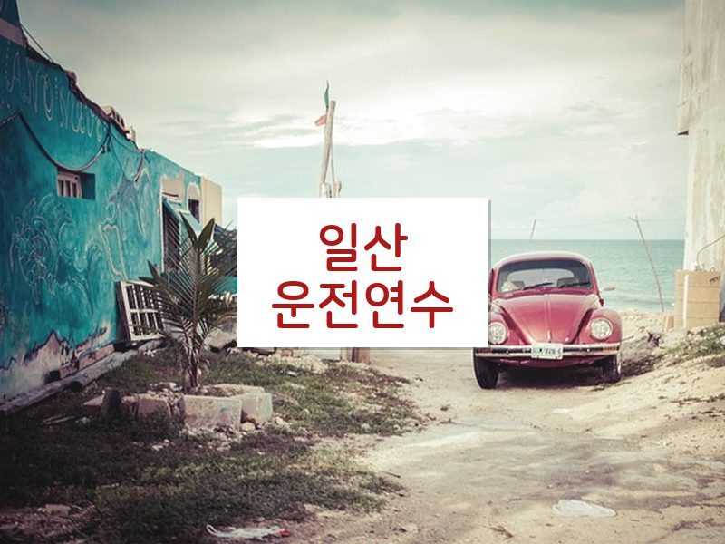일산운전연수 후기