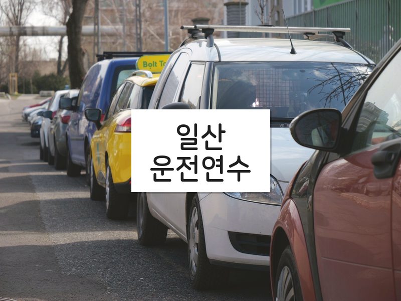 일산운전연수 후기