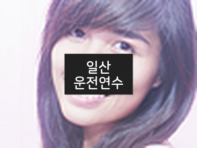 일산운전연수 후기