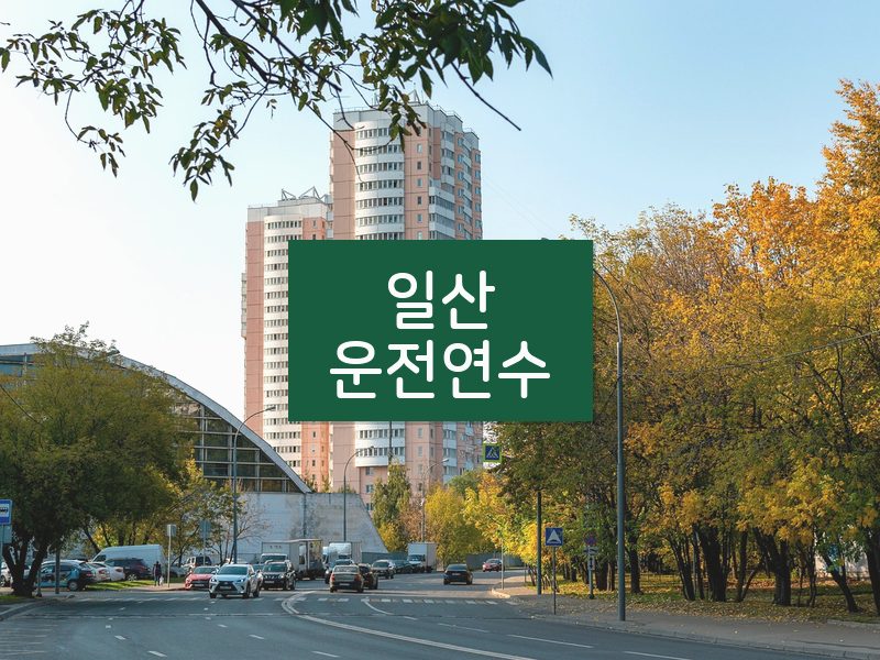 일산운전연수 후기