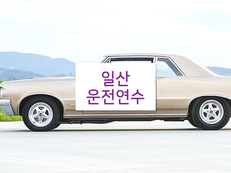 일산운전연수 후기