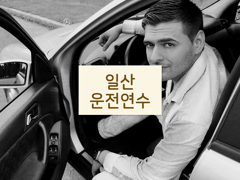 일산운전연수 후기