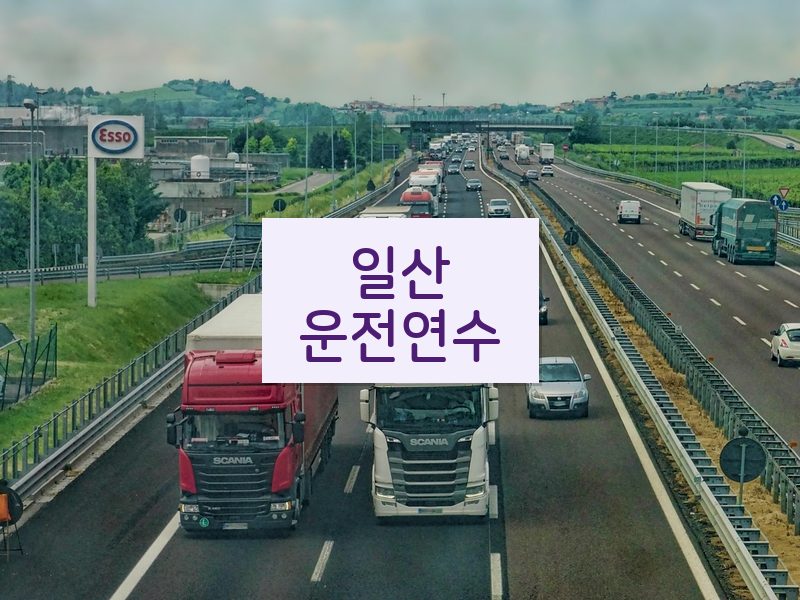 일산운전연수 후기