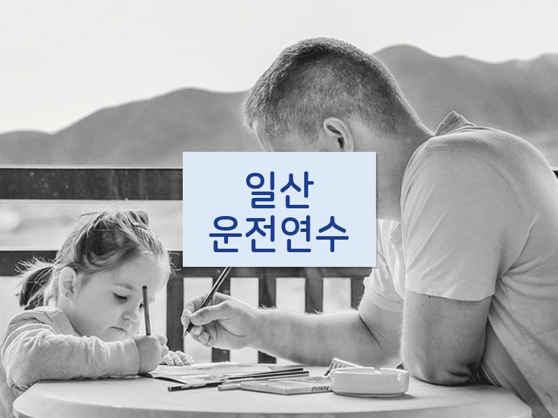 일산운전연수 후기