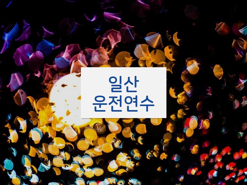 일산운전연수 후기