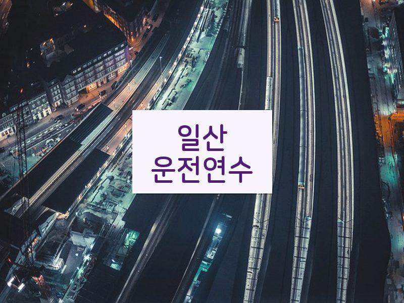 일산운전연수 후기