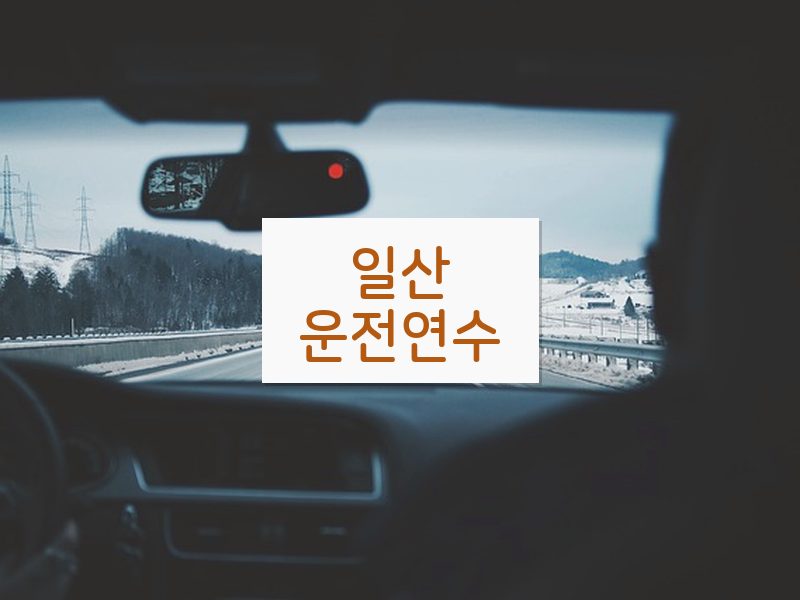 일산운전연수 후기