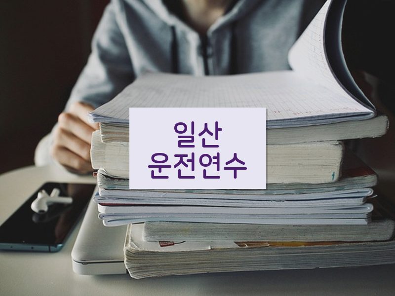 일산운전연수 후기