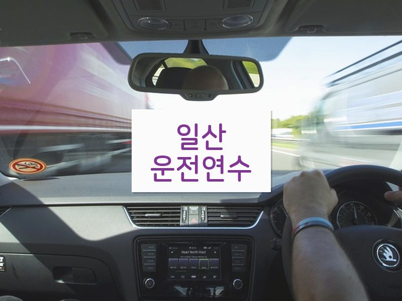 일산운전연수 후기
