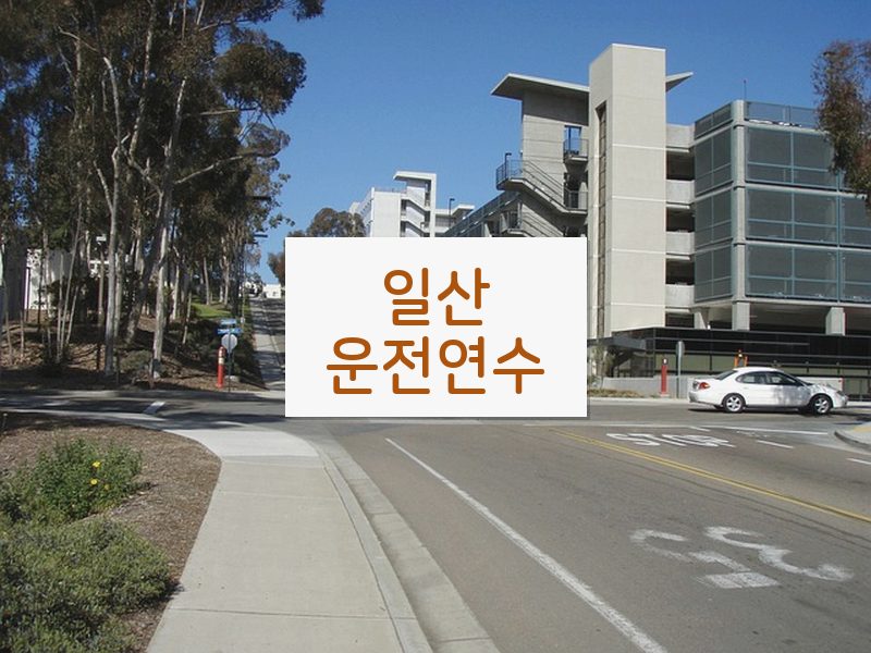 일산운전연수 후기