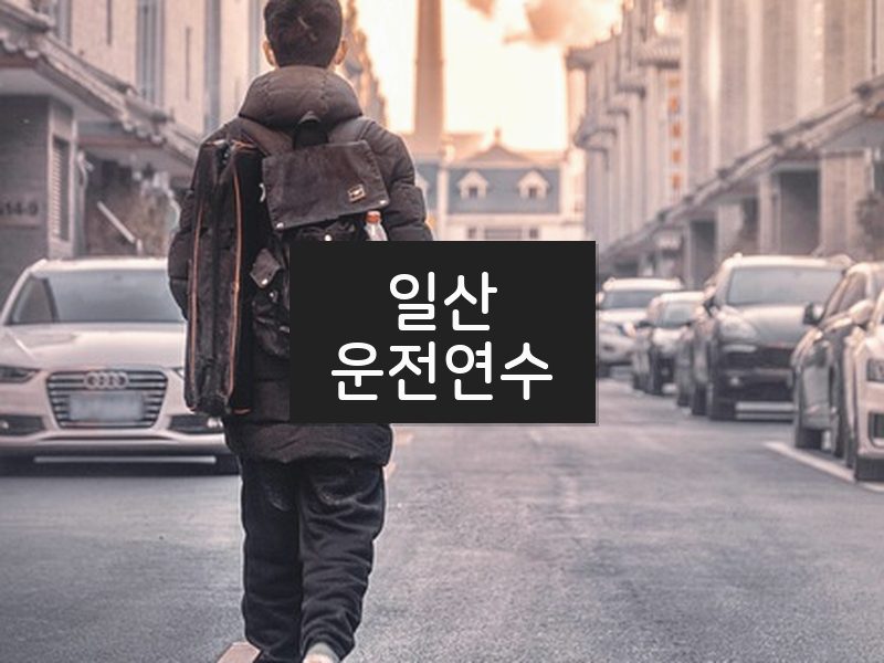일산운전연수 후기