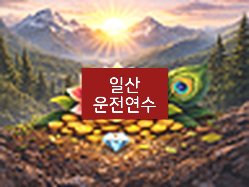 일산운전연수 후기