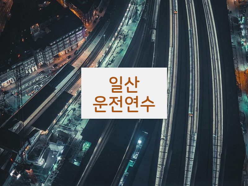일산운전연수 후기