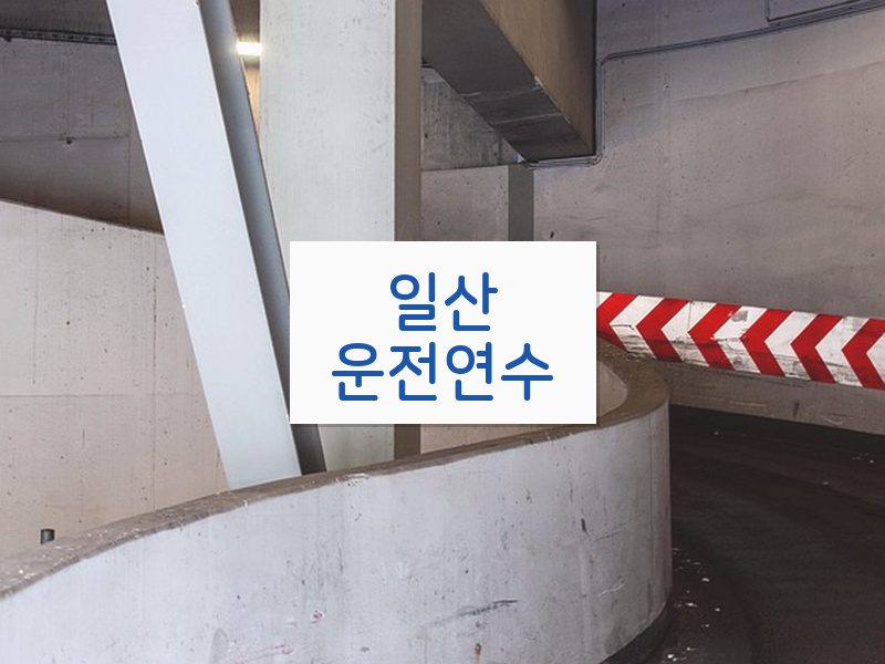 일산운전연수 후기
