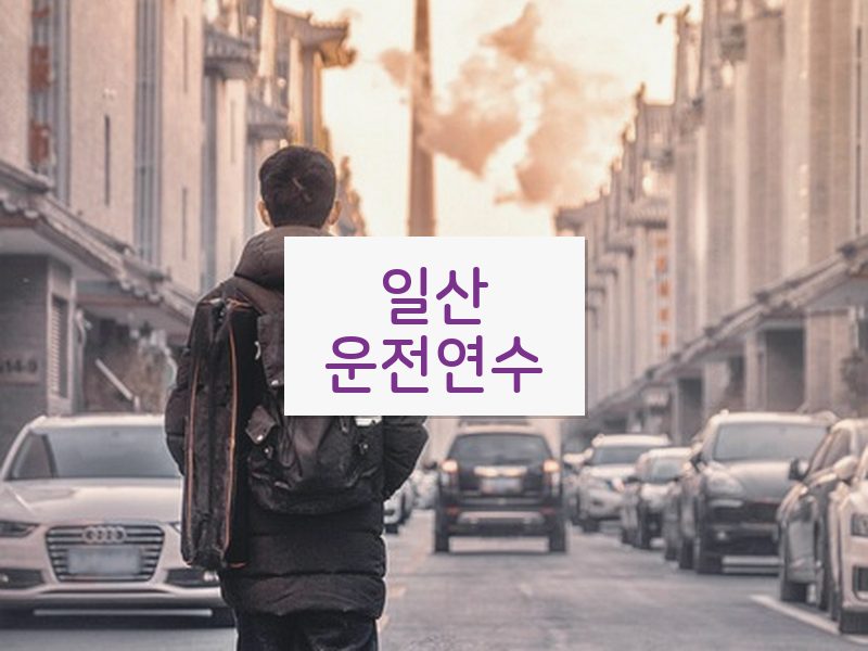 일산운전연수 후기