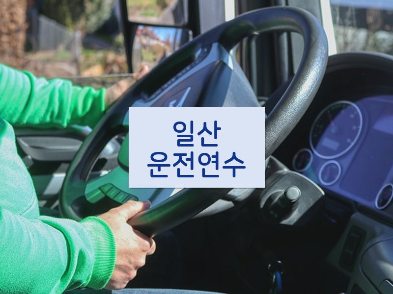 일산운전연수 후기