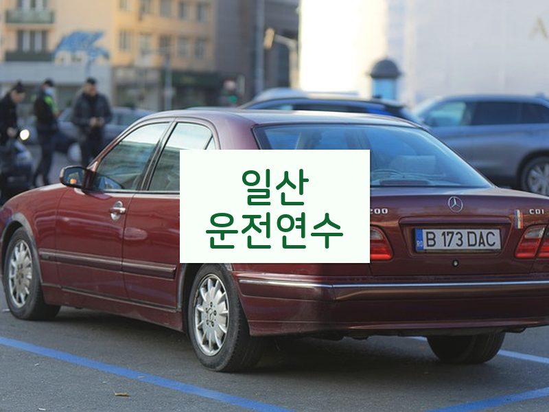 일산운전연수 후기