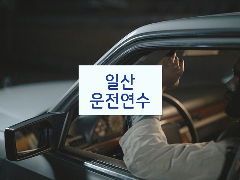 일산운전연수 후기