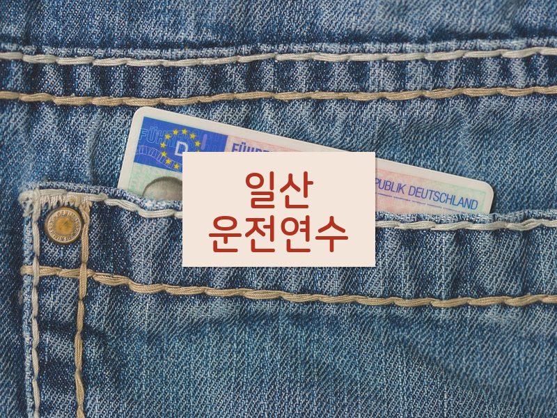 일산운전연수 후기