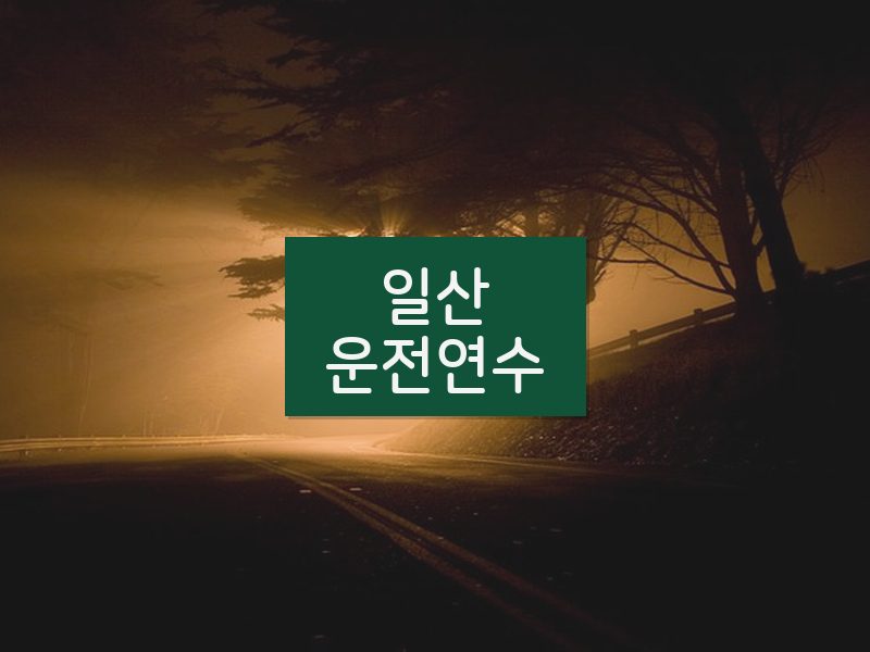 일산운전연수 후기