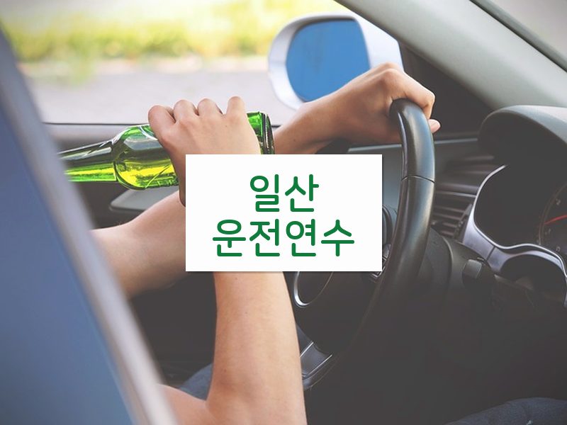 일산운전연수 후기