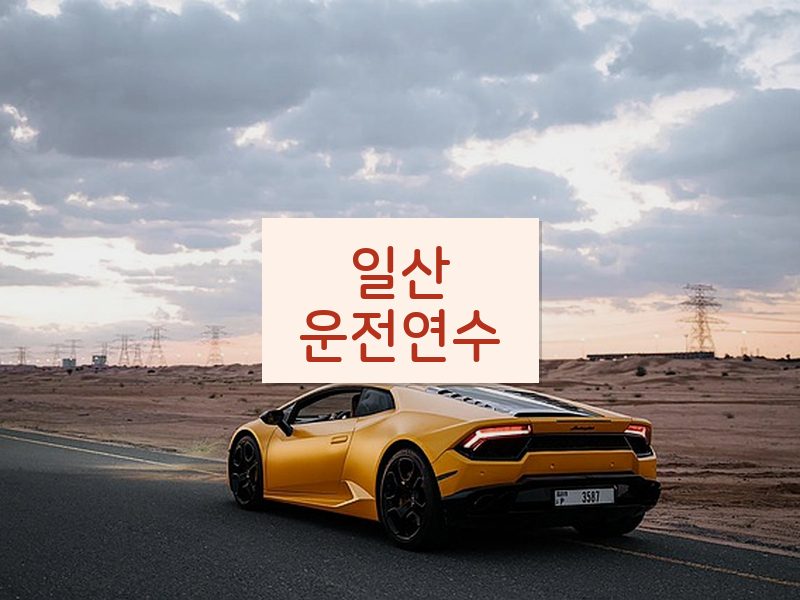 일산운전연수 후기