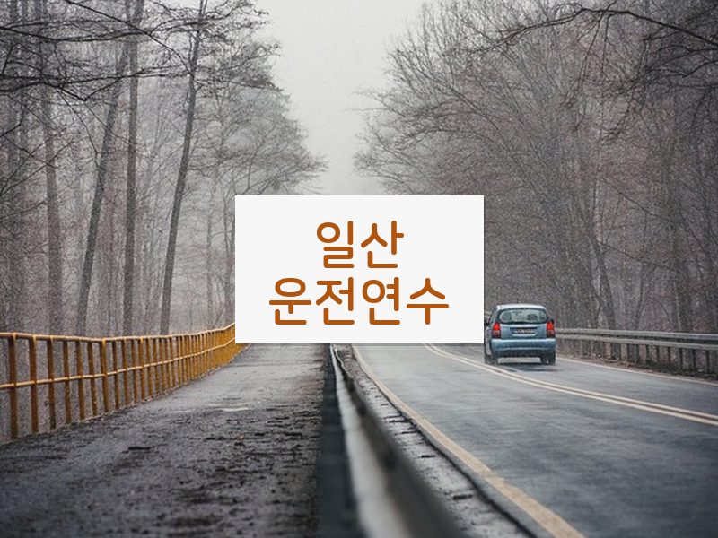 일산운전연수 후기