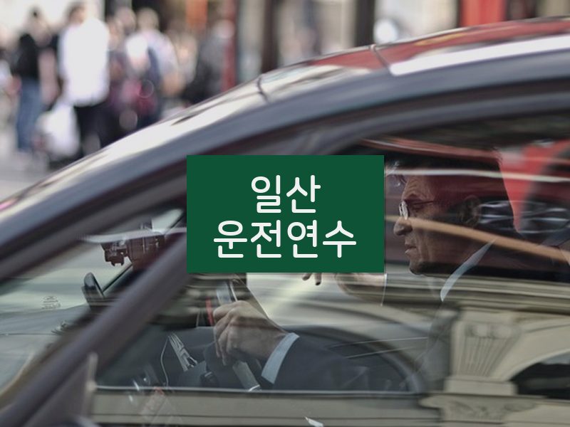 일산운전연수 후기