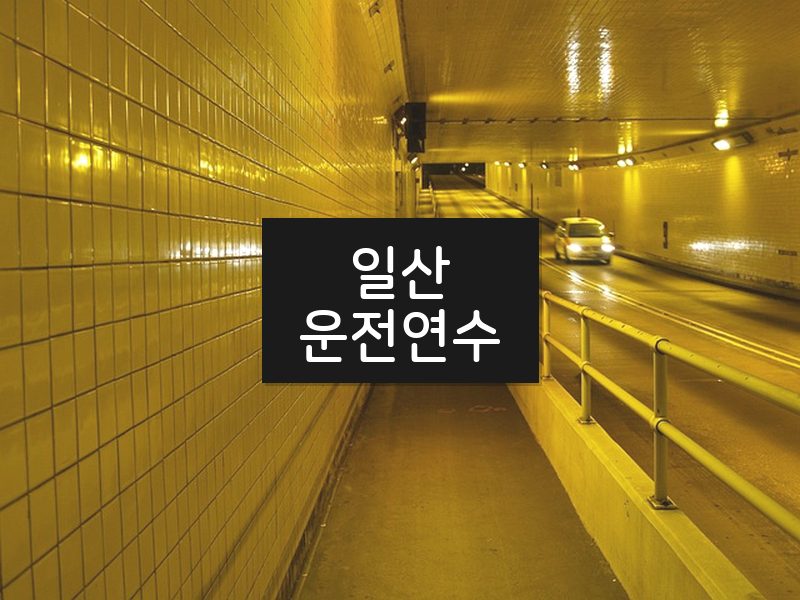 일산운전연수 후기