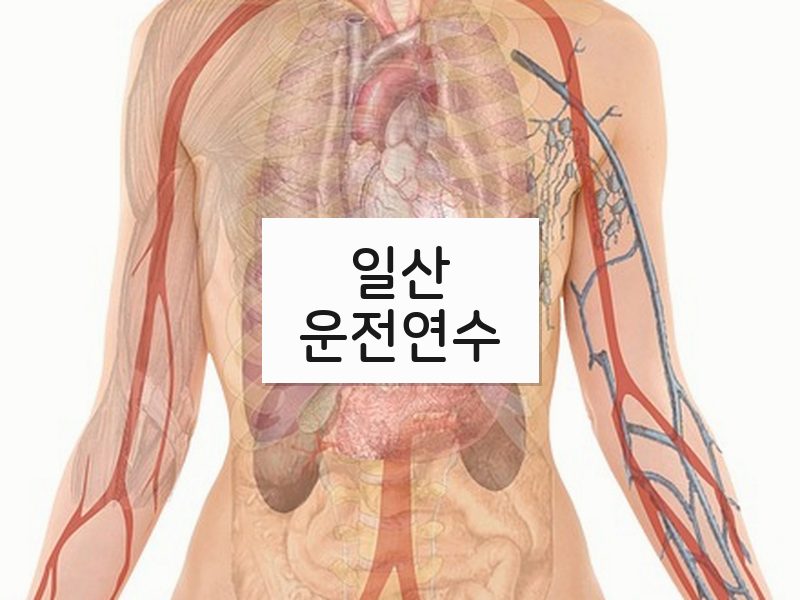 일산운전연수 후기