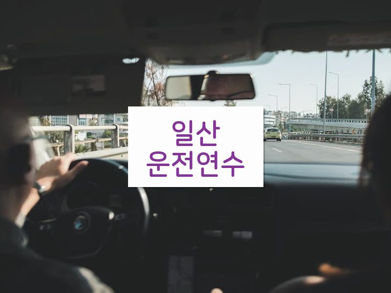일산운전연수 후기