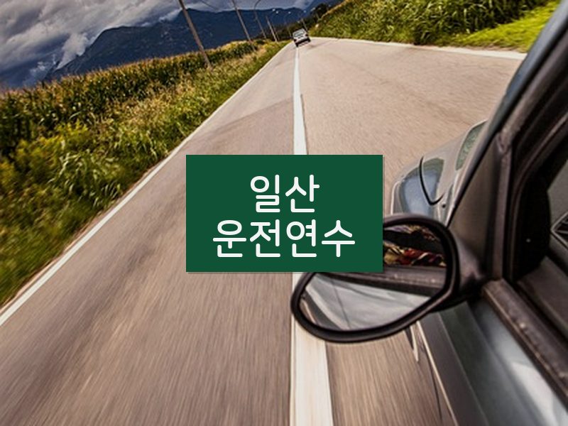 일산운전연수 후기