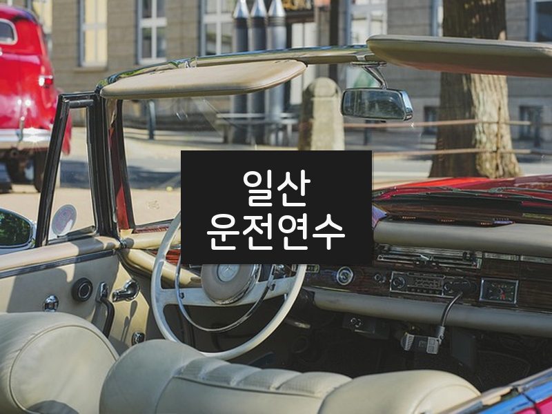 일산운전연수 후기