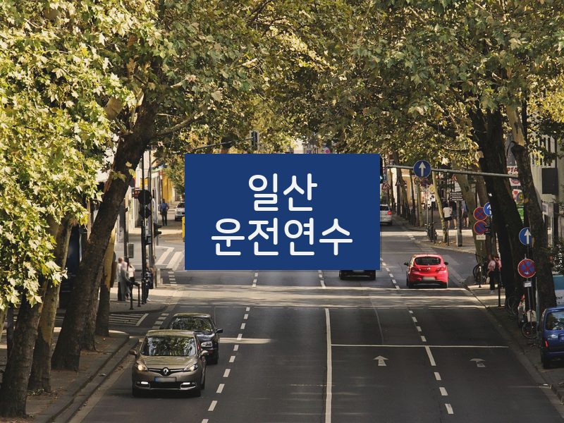 일산운전연수 후기