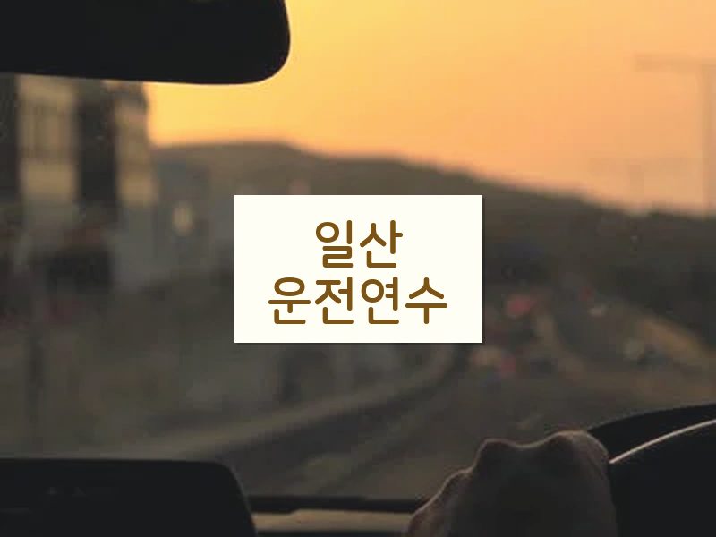 일산운전연수 후기