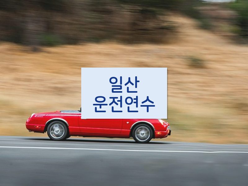 일산운전연수 후기