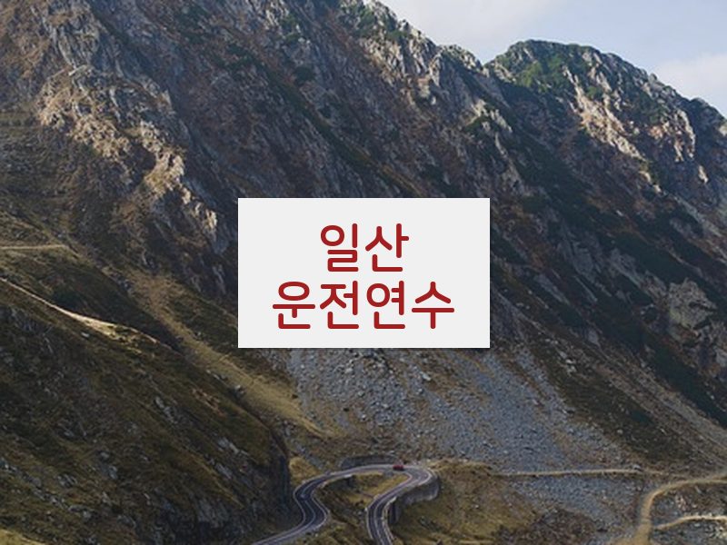 일산운전연수 후기