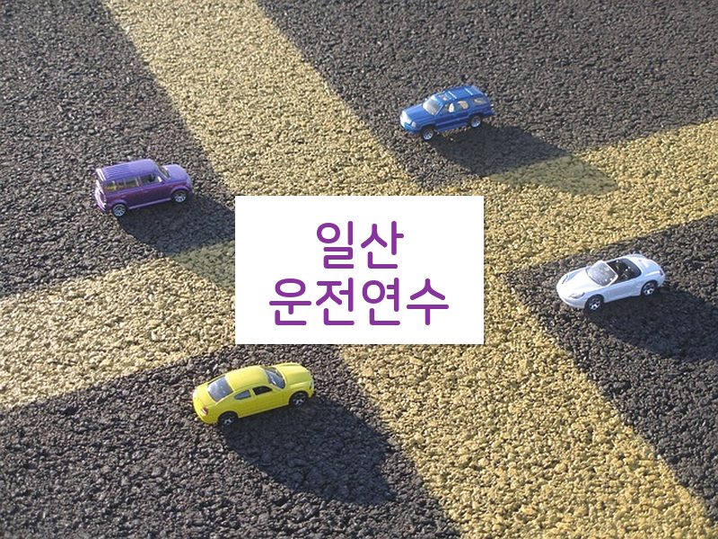 일산운전연수 후기