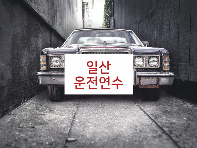 일산운전연수 후기