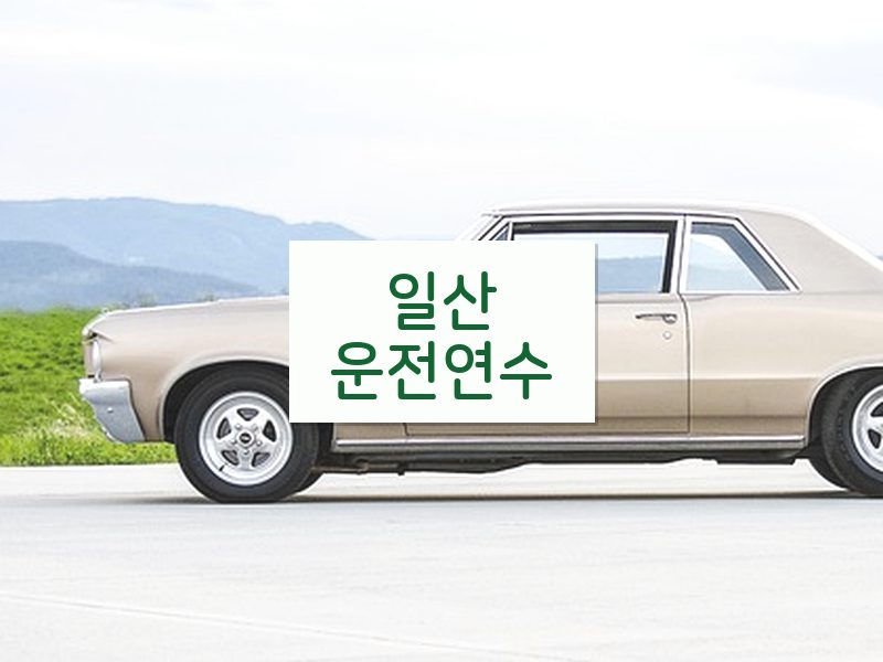 일산운전연수 후기